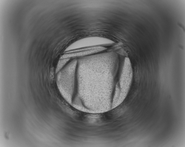 X0000099570085200806131305