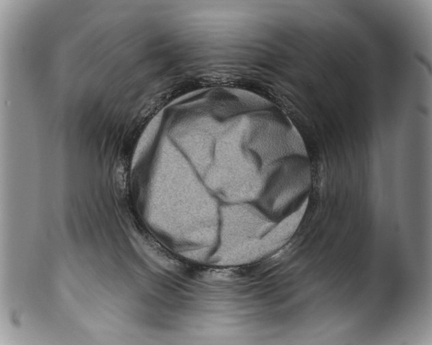 X0000099570086200806131305