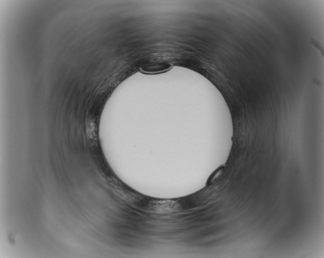 X0000099570087200806131305
