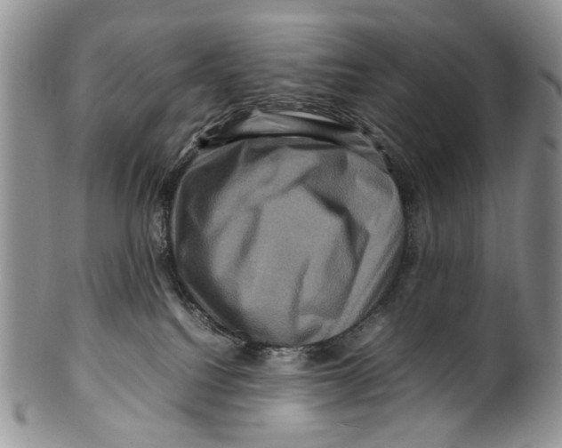 X0000099570088200806131305