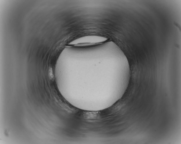X0000099570089200806131305