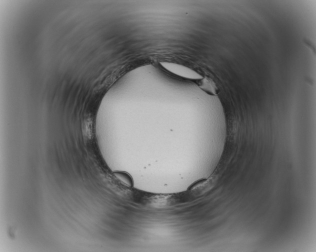 X0000099570090200806131305