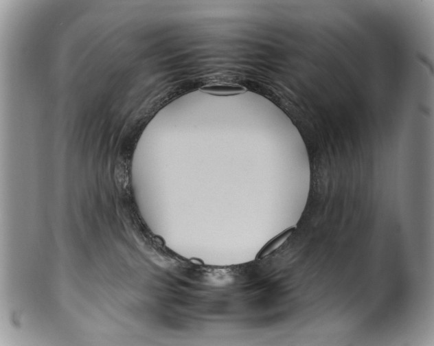 X0000099570091200806131305