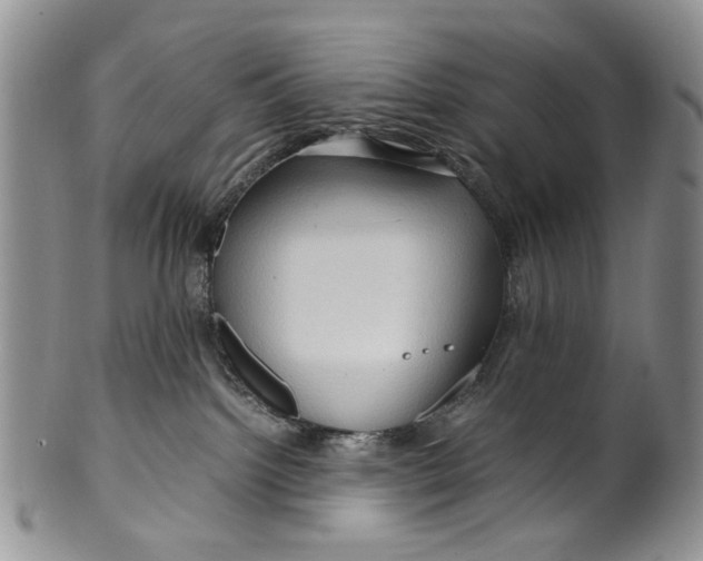 X0000099570092200806131305