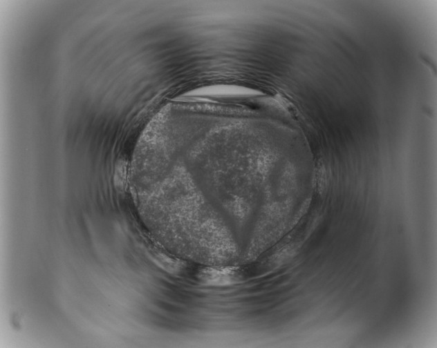 X0000099570093200806131305