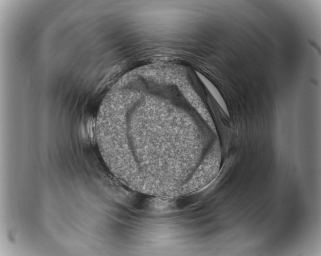 X0000099570094200806131305