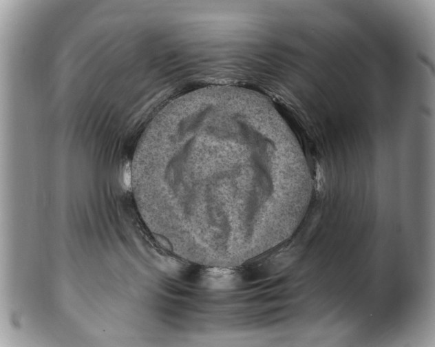 X0000099570095200806131306