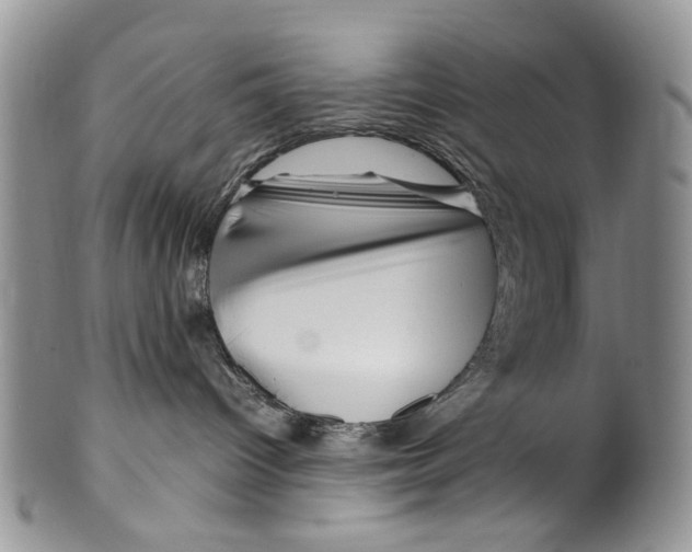 X0000099570096200806131306