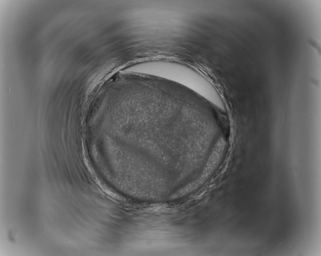 X0000099570097200806131305