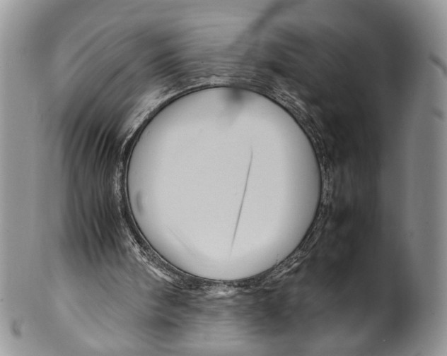 X0000099570098200806131305