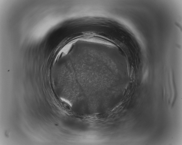 X0000099570099200806131305