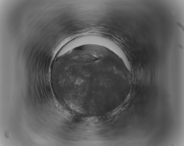 X0000099570100200806131305