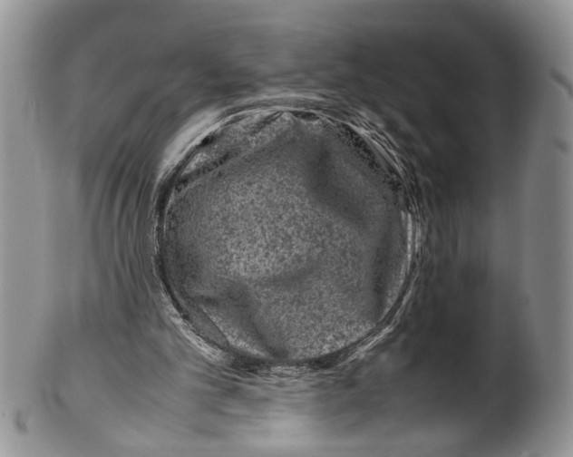 X0000099570101200806131305