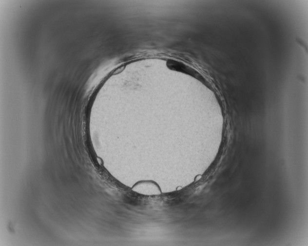 X0000099570103200806131305