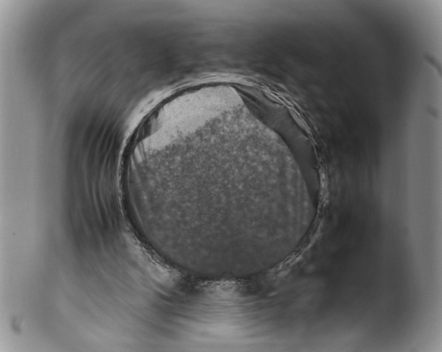 X0000099570104200806131305