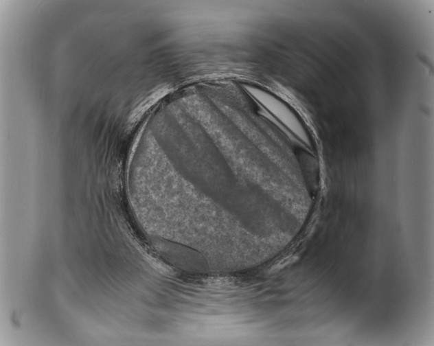 X0000099570105200806131305