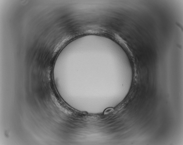 X0000099570106200806131305