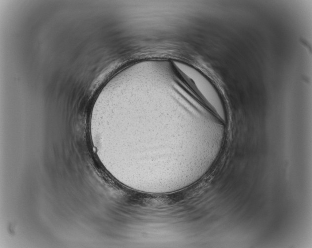 X0000099570107200806131305