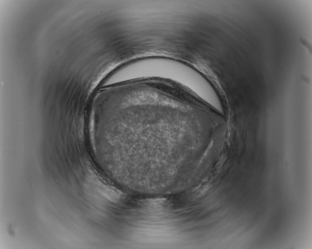 X0000099570108200806131305
