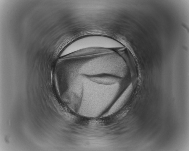 X0000099570109200806131305