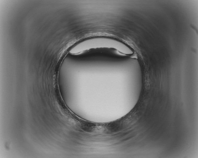 X0000099570111200806131305