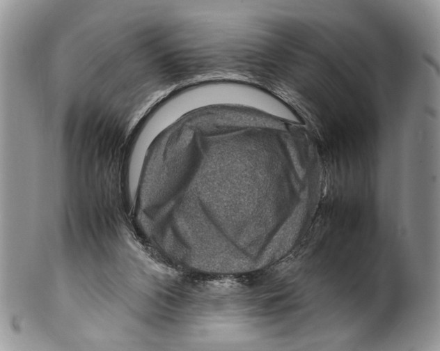 X0000099570112200806131305