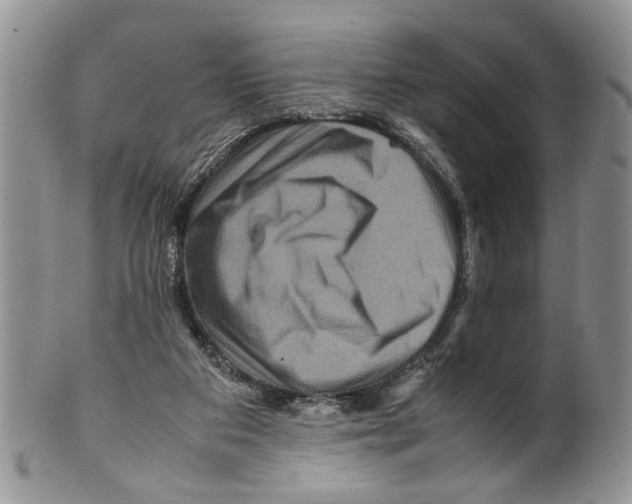 X0000099570113200806131305
