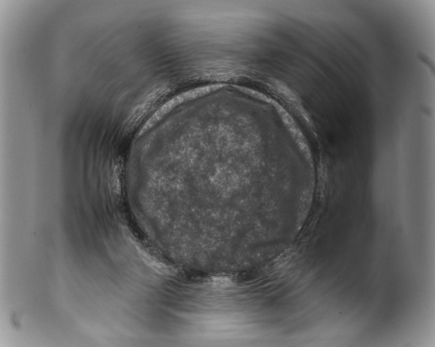 X0000099570114200806131305