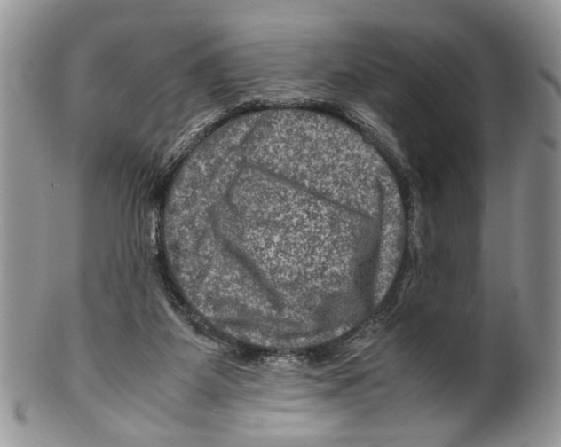 X0000099570115200806131305