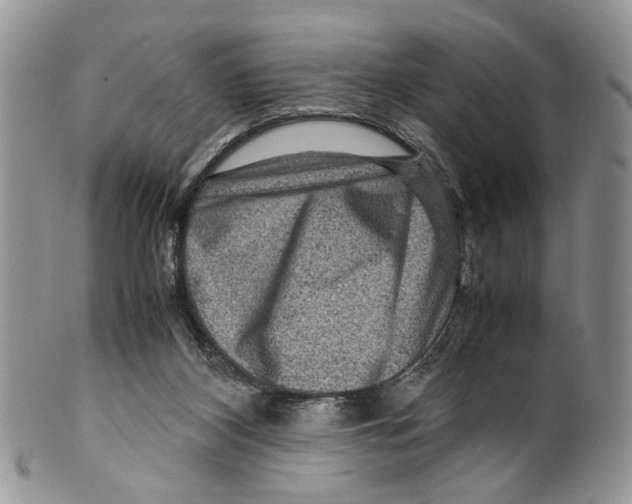 X0000099570116200806131305
