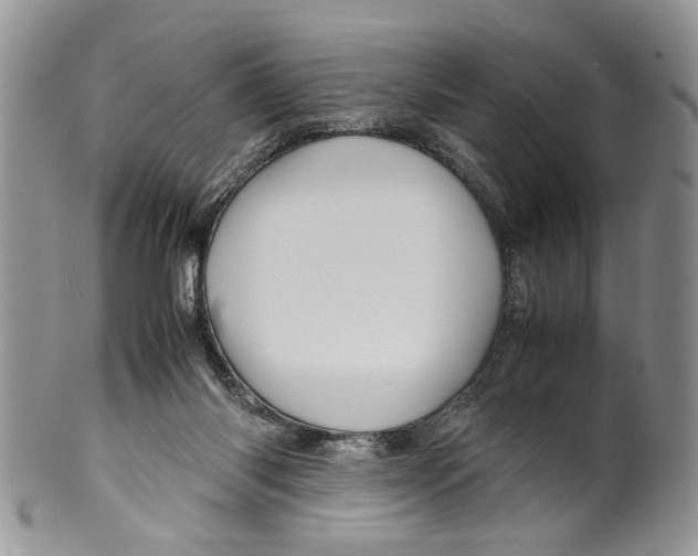 X0000099570118200806131305