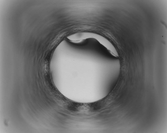 X0000099570119200806131305