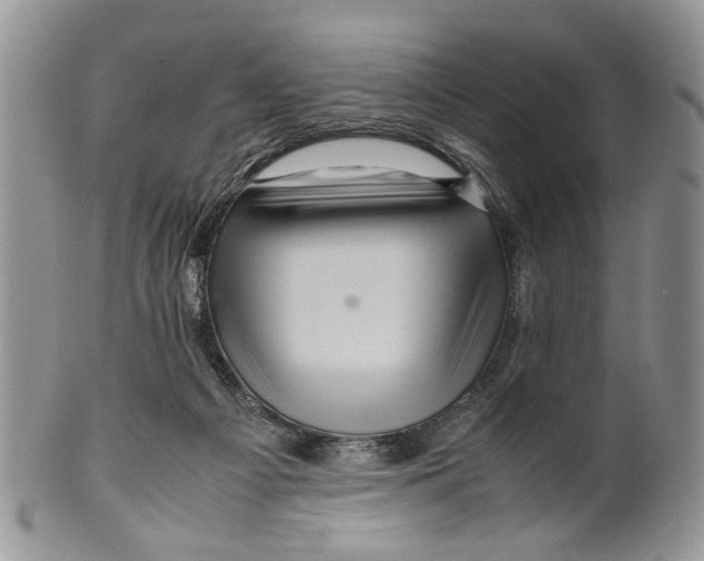 X0000099570121200806131305