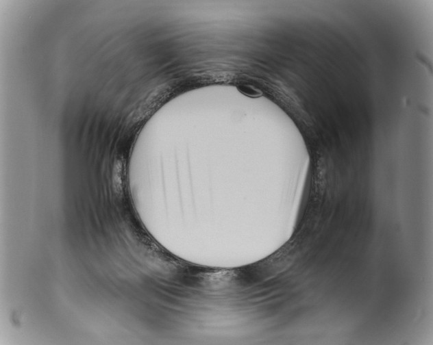 X0000099570122200806131305