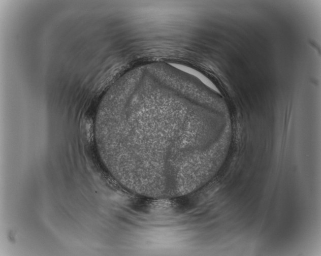 X0000099570123200806131304