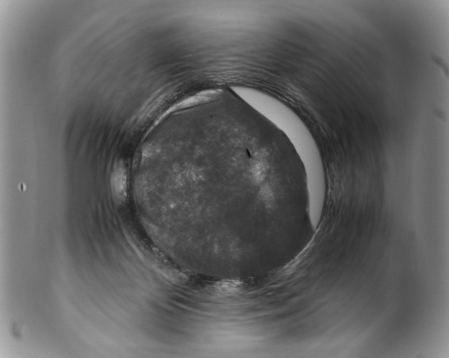 X0000099570124200806131304