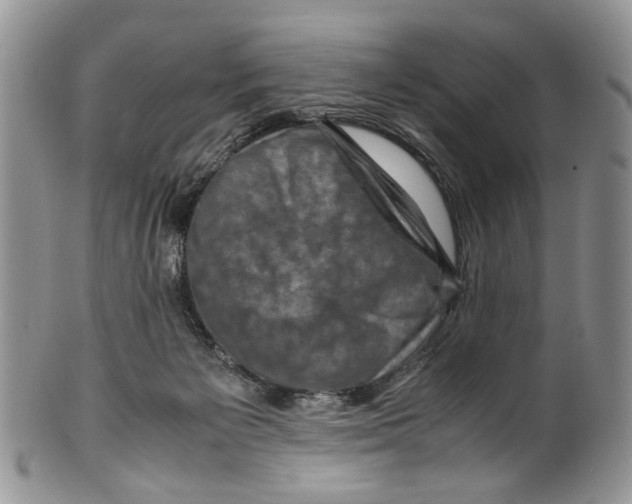 X0000099570125200806131304