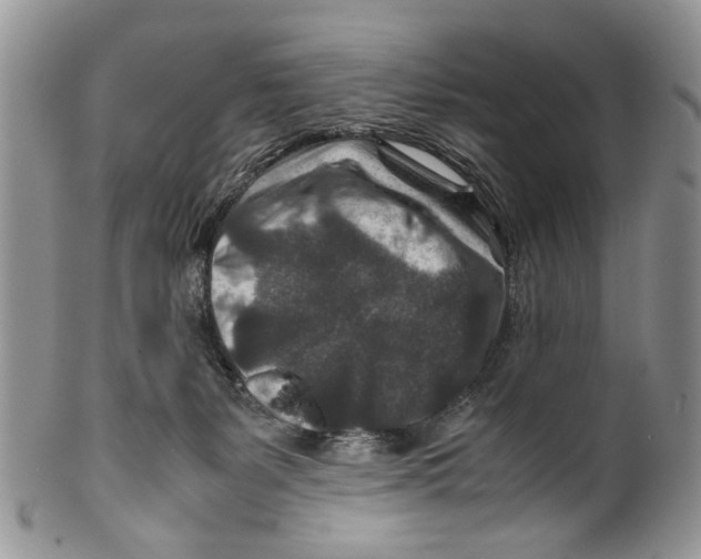 X0000099570127200806131304
