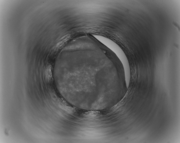 X0000099570128200806131304