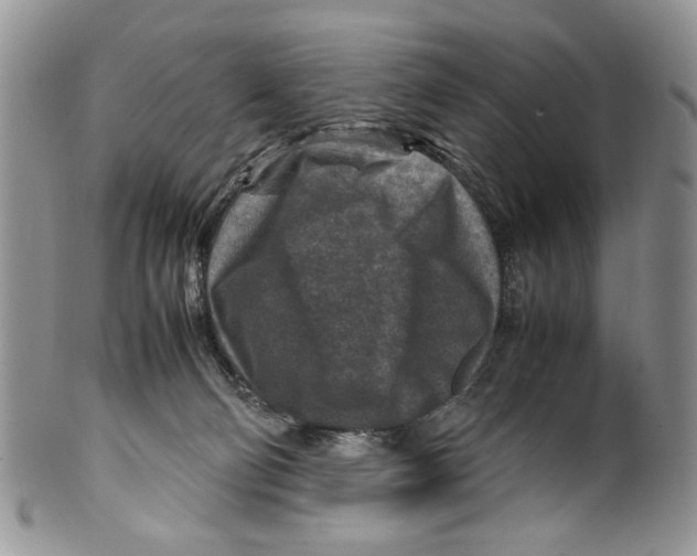 X0000099570130200806131304