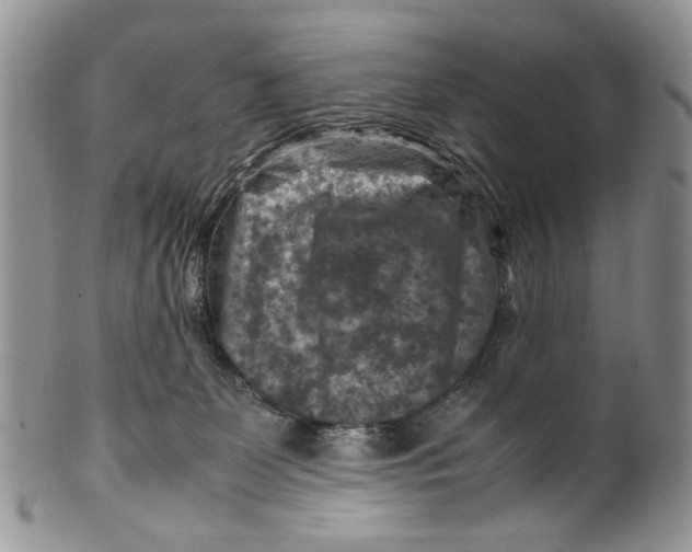 X0000099570131200806131304