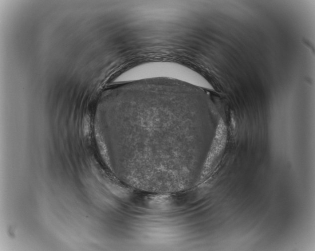 X0000099570132200806131304