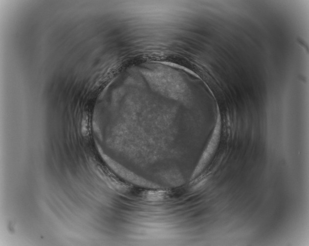 X0000099570134200806131304