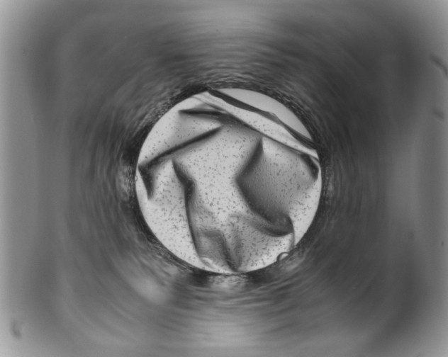 X0000099570135200806131304