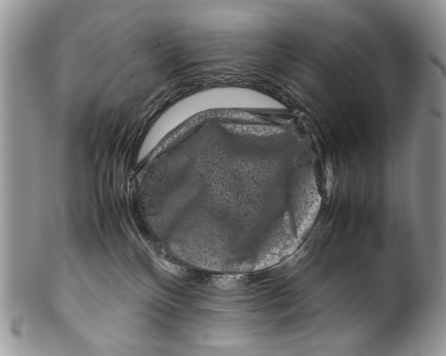 X0000099570136200806131304