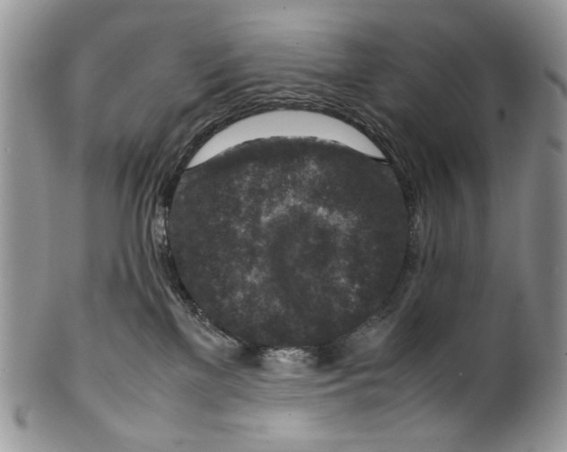 X0000099570137200806131304