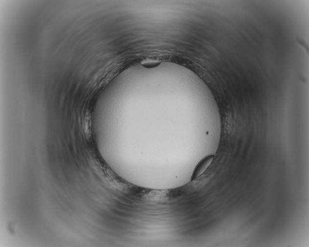 X0000099570138200806131304