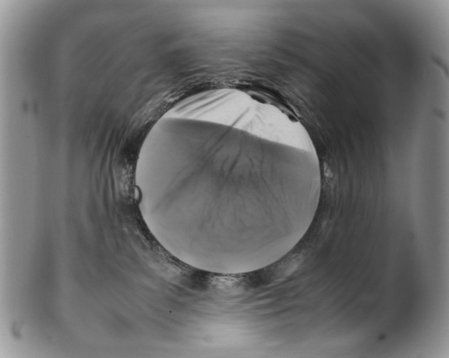 X0000099570139200806131304