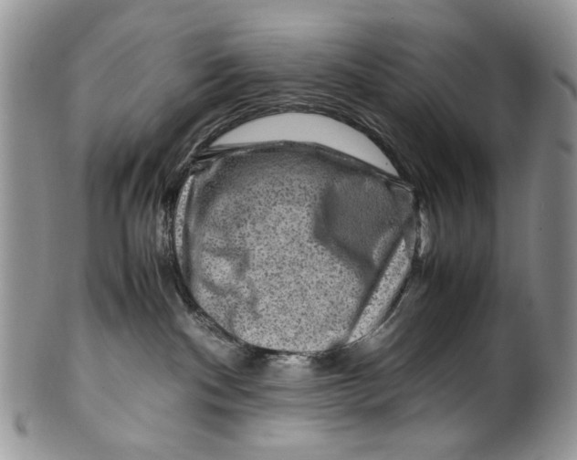 X0000099570140200806131304