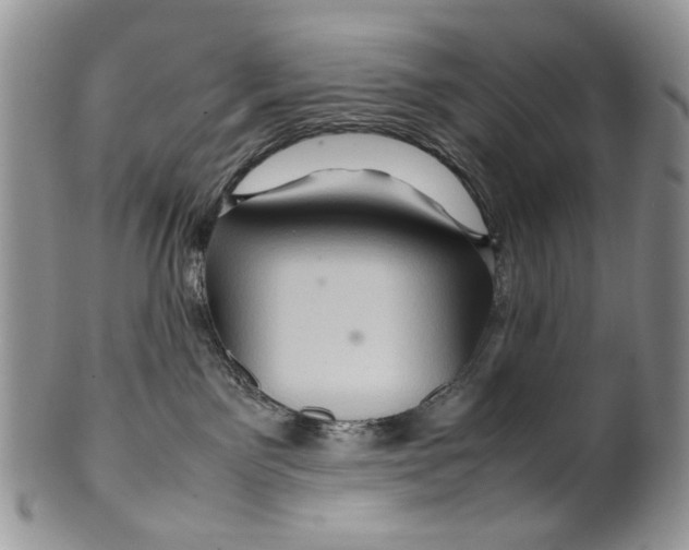 X0000099570141200806131304